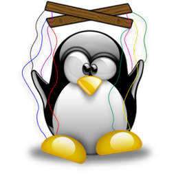 penguin pingouin pinguino 780